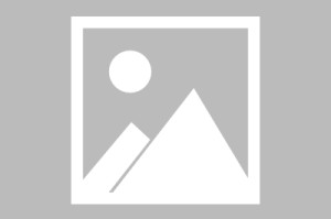 世界登山青年导师长期观察第19期数据摘要发布，世界登山大师