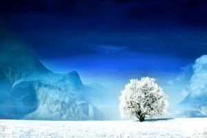 世界短跑公益训练营开营：名将公益授课助力基层普及，世界短跑王国